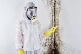 Best Commercial Mold Inspection  in Sackets Harbor, NY